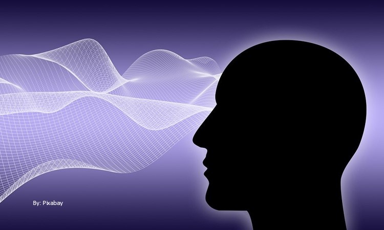 The Dangers of An Idle Mind