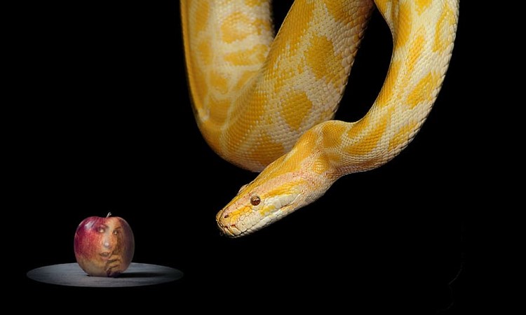 How to Overcome Sinful Desires in Your&nbsp;Heart